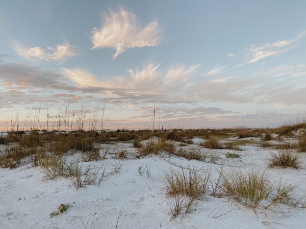 Current Beach Conditions Current Beach Conditions