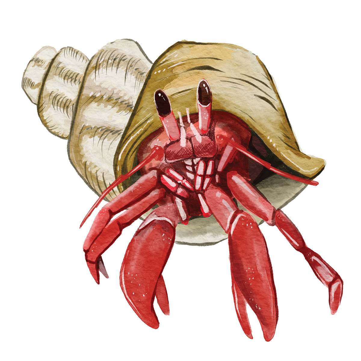 Love It Like A Local