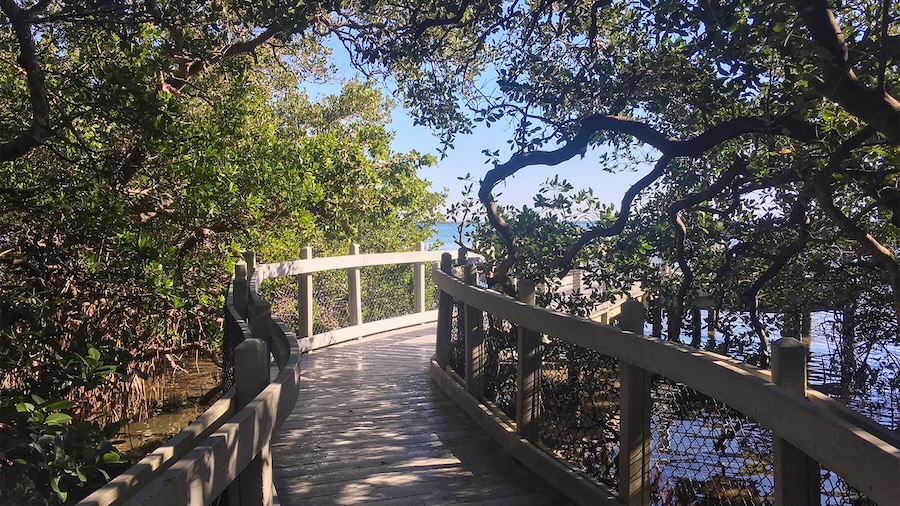 a wooden walkway with railings and trees