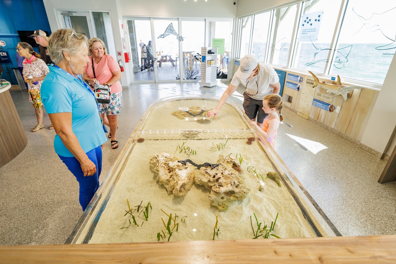 a family interacting with a hermit crab touch tank at Mote Marine