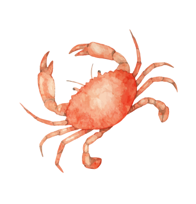 Crab Illustration