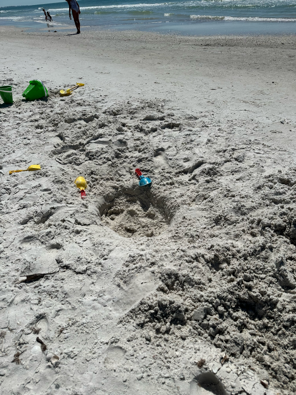 Current Beach Conditions Current Beach Conditions