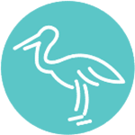 Love It Like A Local