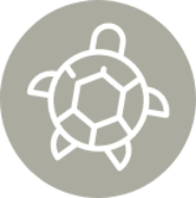 Current Beach Conditions Current Beach Conditions