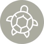 Love It Like A Local